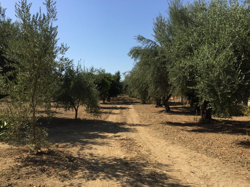 הוילה גיתיו Elaianthos 1 מראה חיצוני תמונה